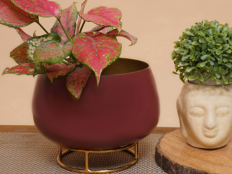 Why Metallic-Accented Planters Are the New Home Décor Trend