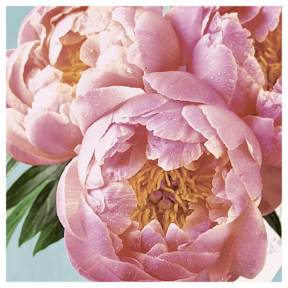 Decorative Paper Napkins That Elevate Your Dining Experience Instantly